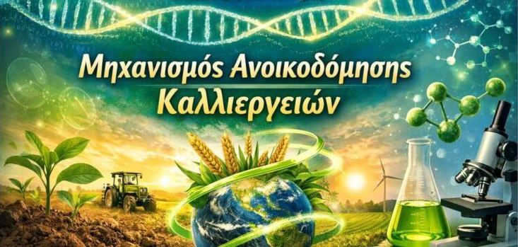 Ο Ρόλος των θρεπτικών στοιχείων στο φυτό